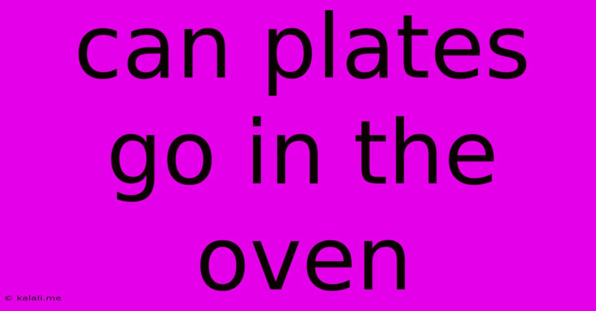 Can Plates Go In The Oven
