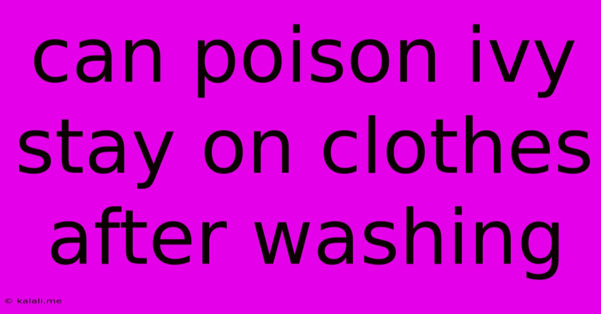 Can Poison Ivy Stay On Clothes After Washing