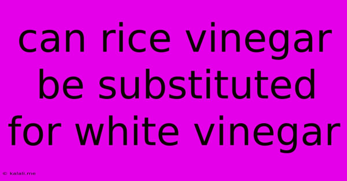 Can Rice Vinegar Be Substituted For White Vinegar