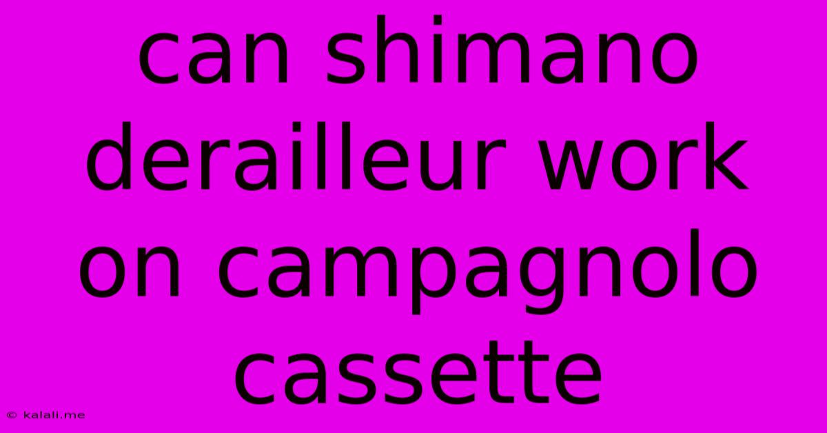 Can Shimano Derailleur Work On Campagnolo Cassette