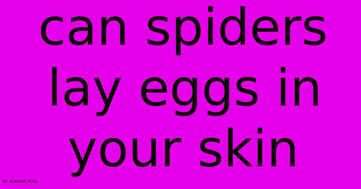 Can Spiders Lay Eggs In Your Skin