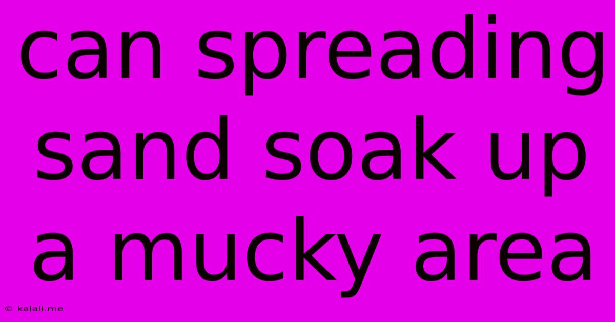 Can Spreading Sand Soak Up A Mucky Area