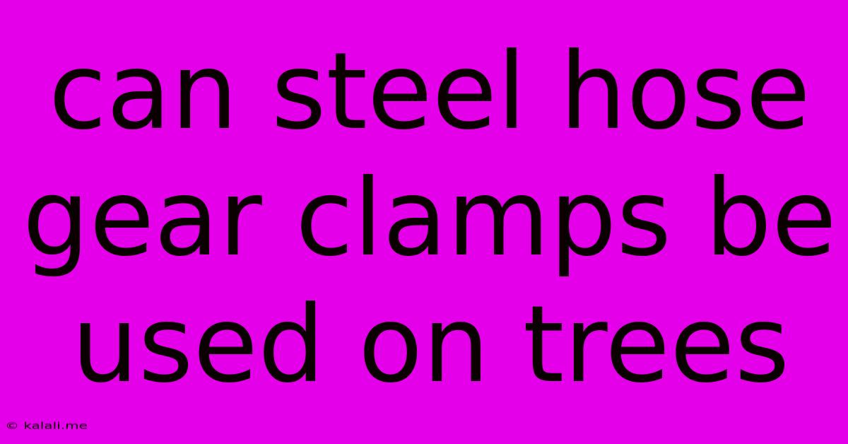Can Steel Hose Gear Clamps Be Used On Trees