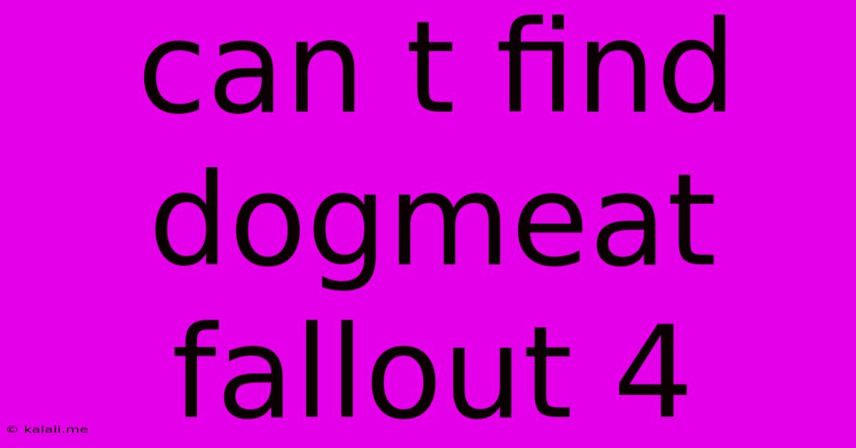 Can T Find Dogmeat Fallout 4