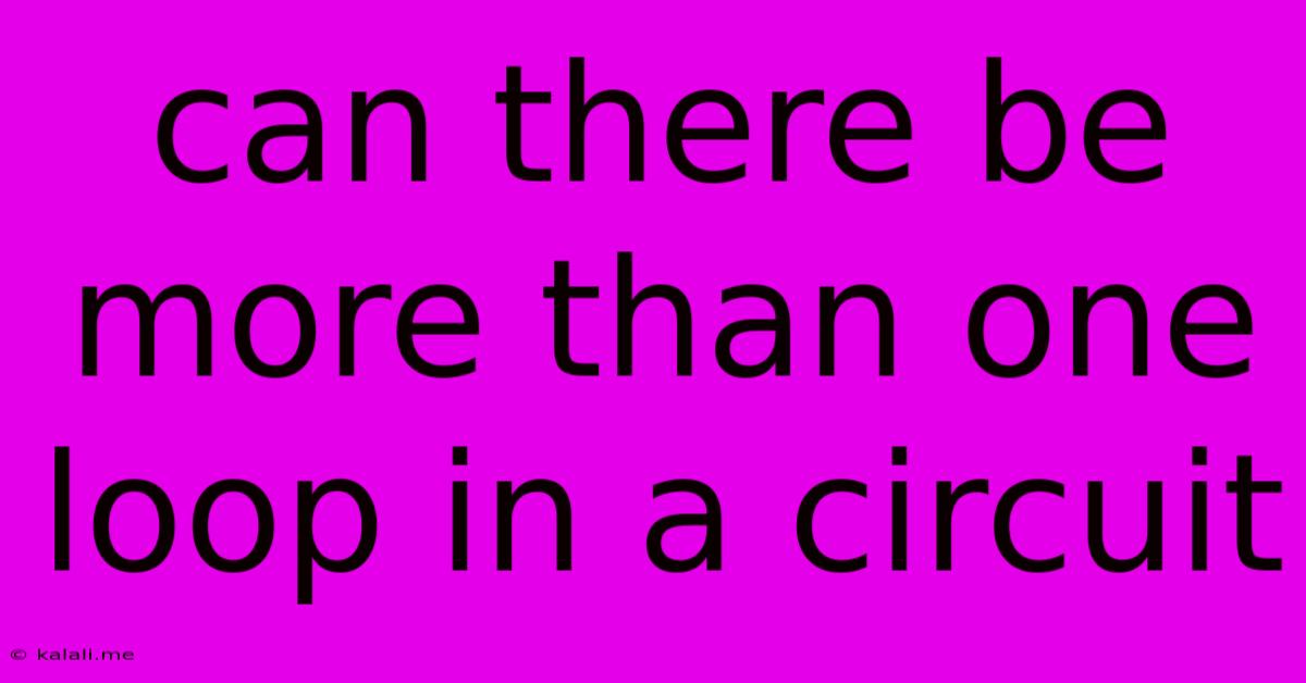 Can There Be More Than One Loop In A Circuit