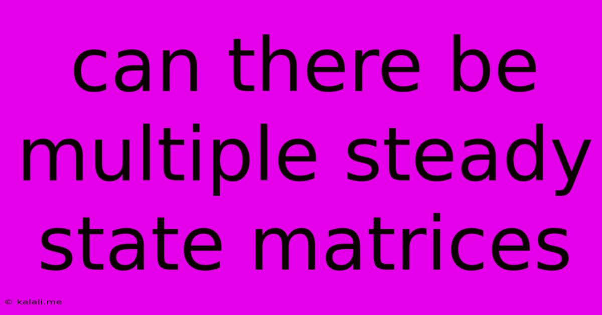 Can There Be Multiple Steady State Matrices