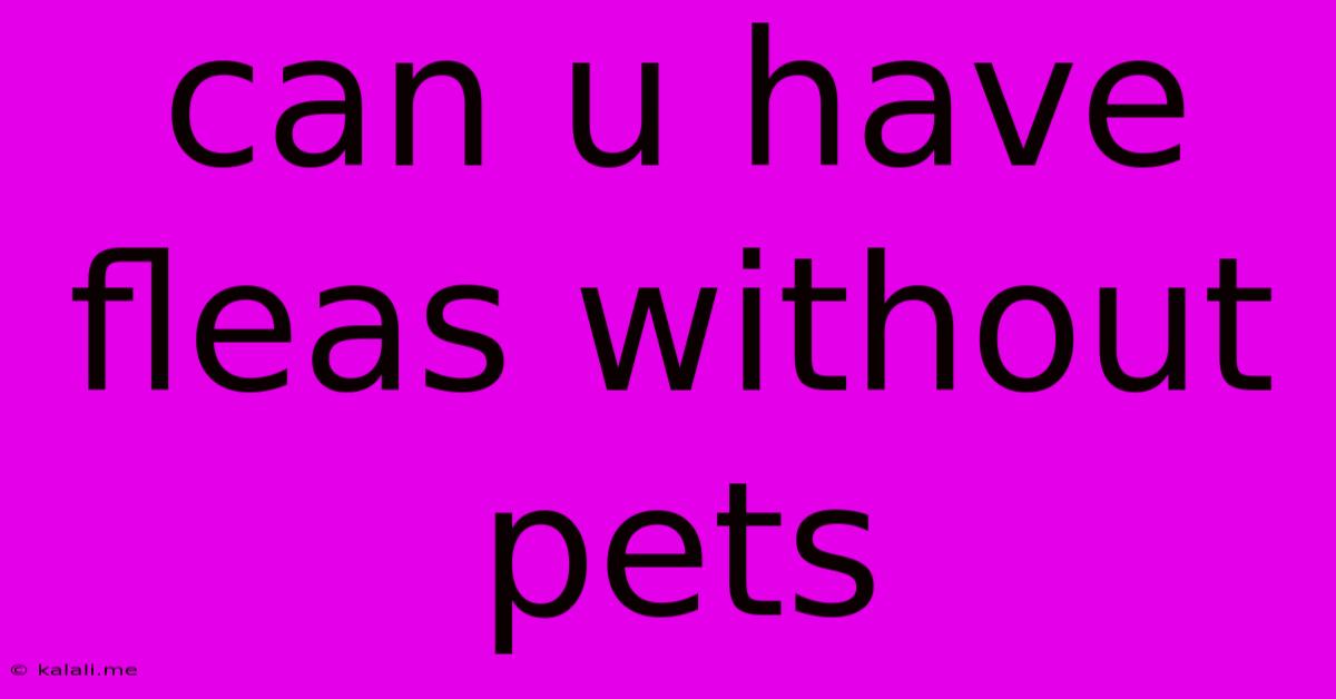 Can U Have Fleas Without Pets