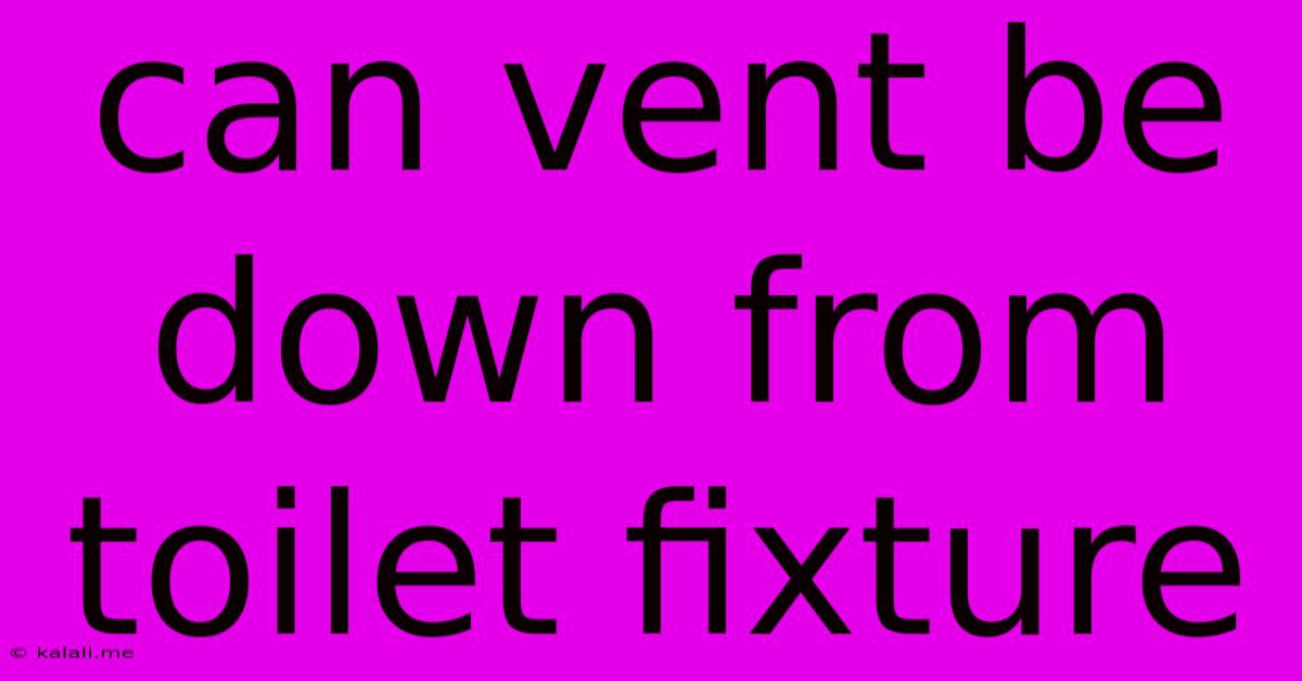 Can Vent Be Down From Toilet Fixture