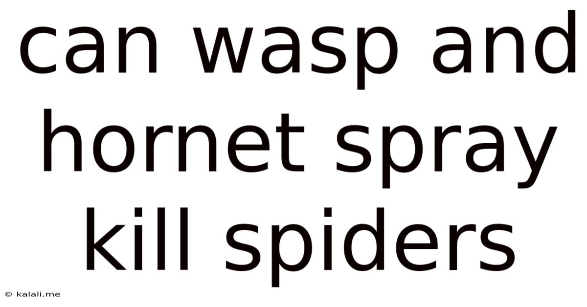 Can Wasp And Hornet Spray Kill Spiders