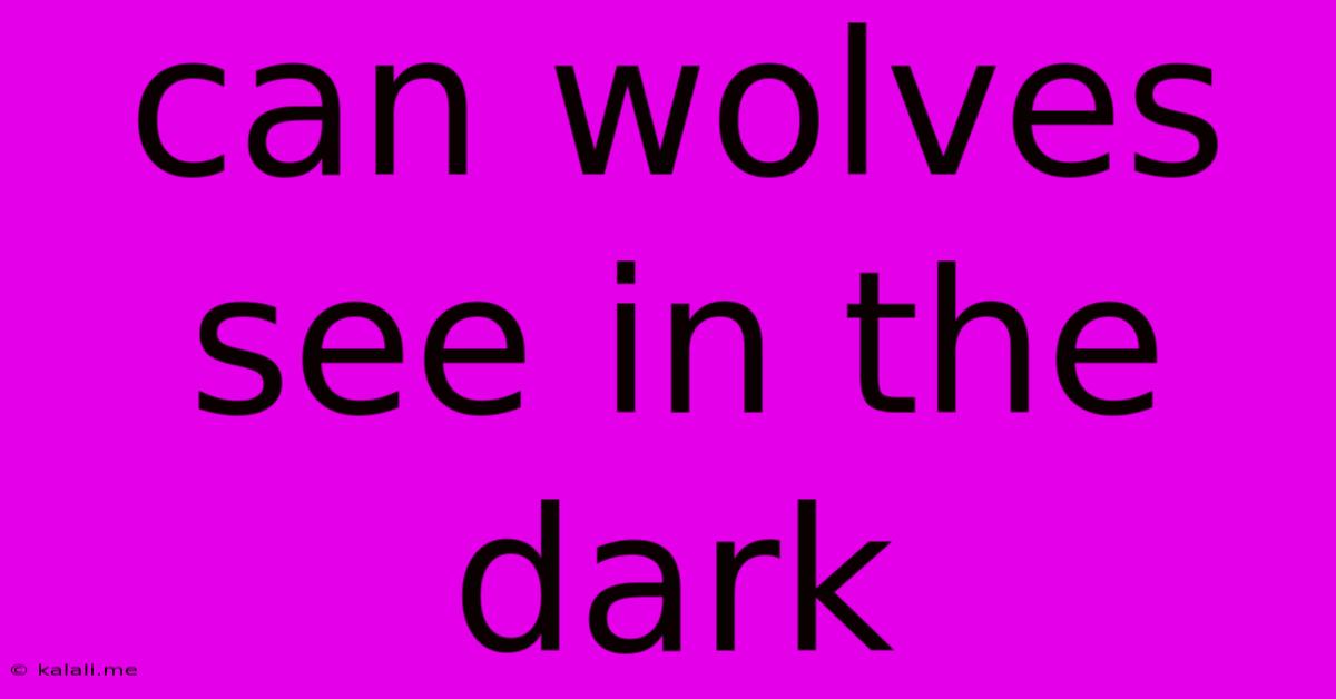 Can Wolves See In The Dark