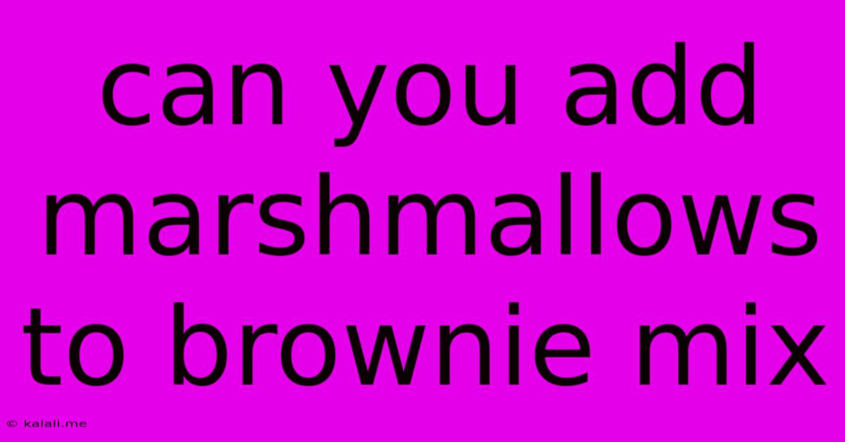 Can You Add Marshmallows To Brownie Mix