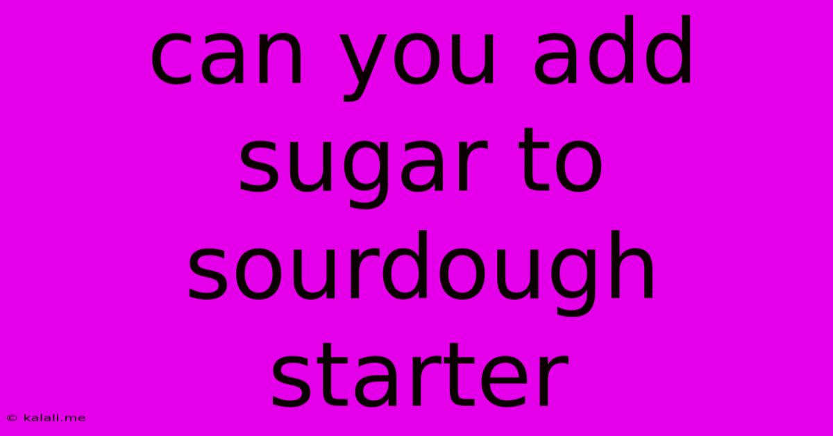 Can You Add Sugar To Sourdough Starter