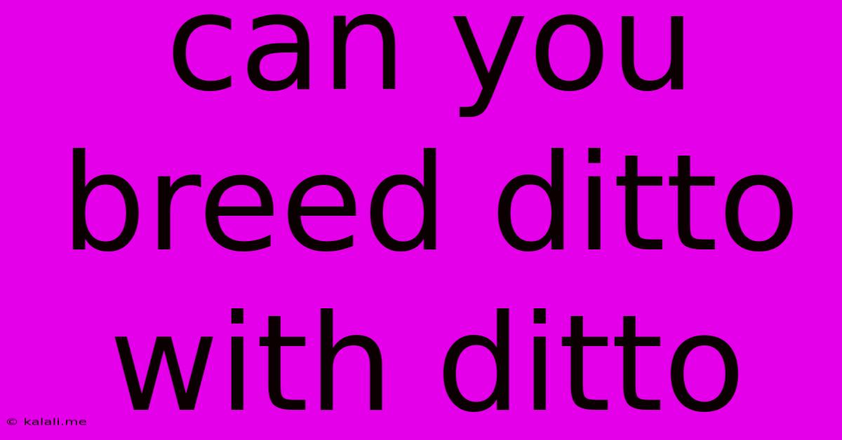 Can You Breed Ditto With Ditto