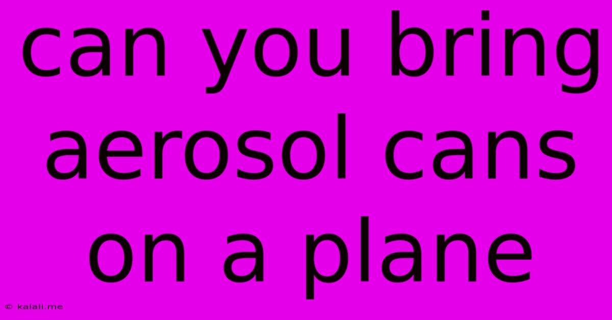 Can You Bring Aerosol Cans On A Plane