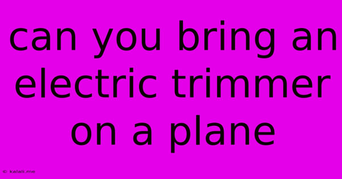 Can You Bring An Electric Trimmer On A Plane