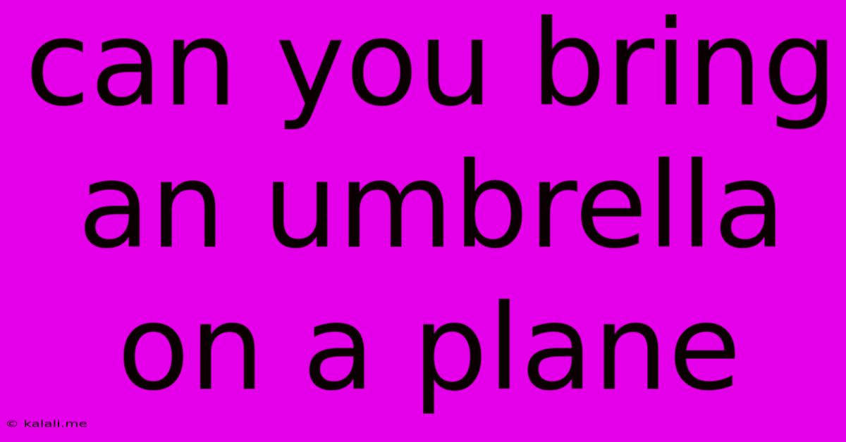 Can You Bring An Umbrella On A Plane