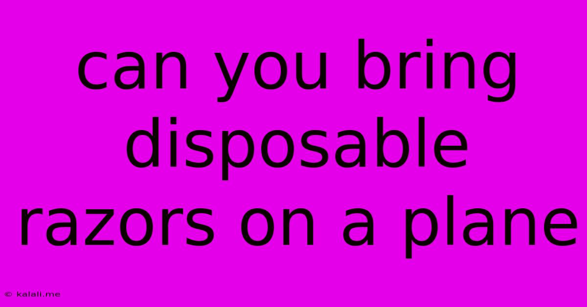 Can You Bring Disposable Razors On A Plane