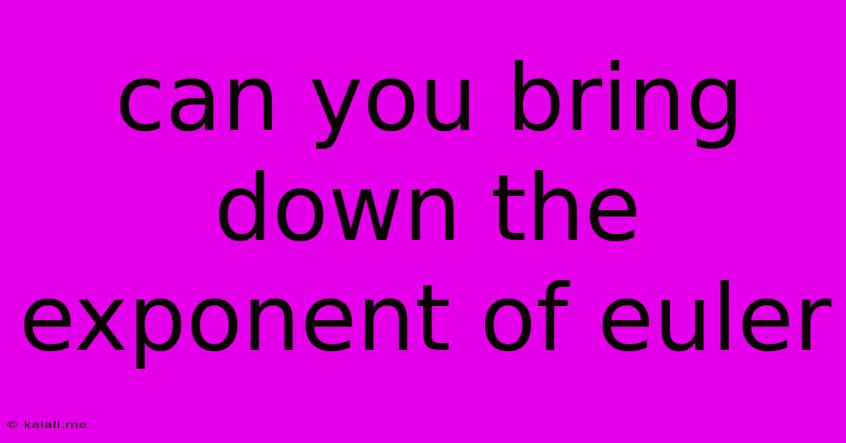 Can You Bring Down The Exponent Of Euler