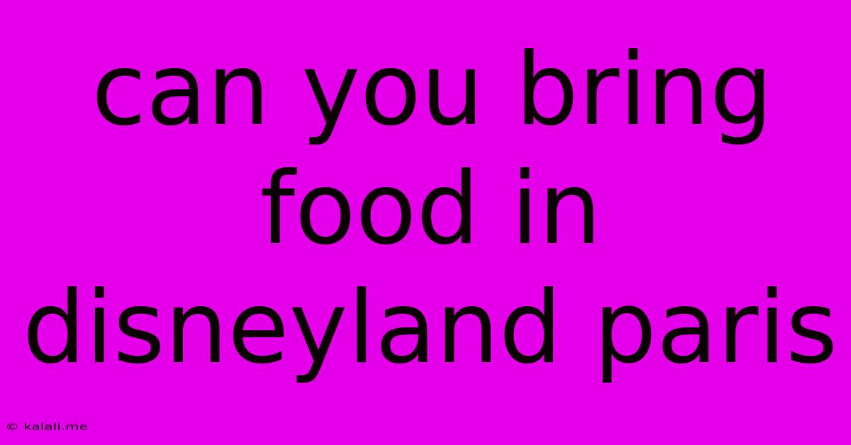 Can You Bring Food In Disneyland Paris