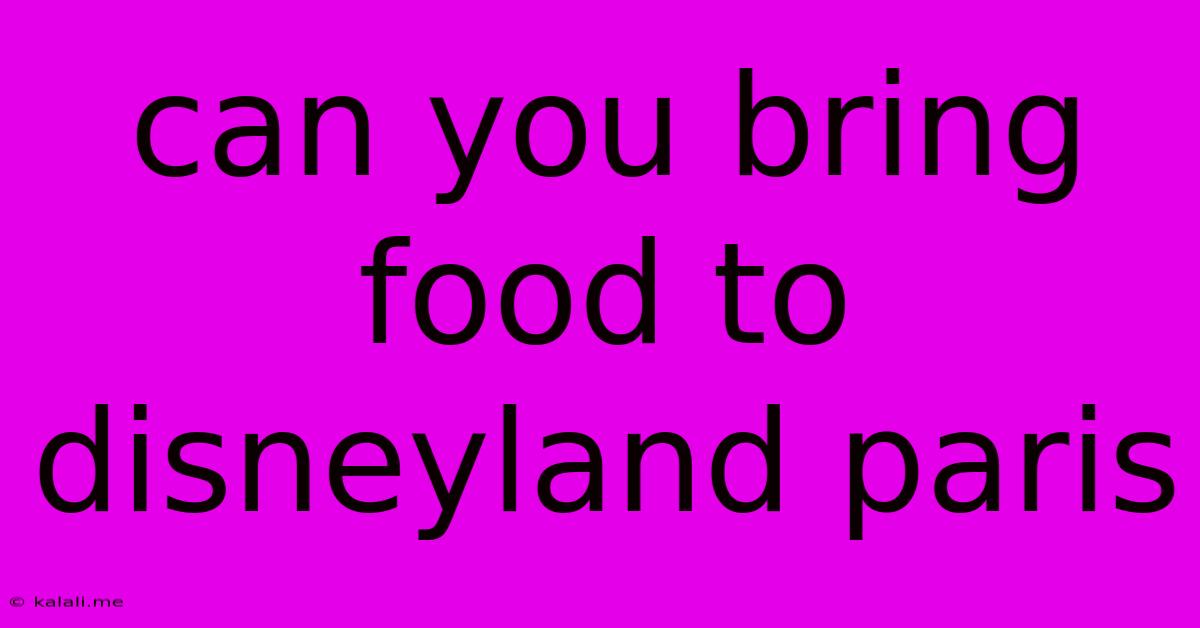Can You Bring Food To Disneyland Paris