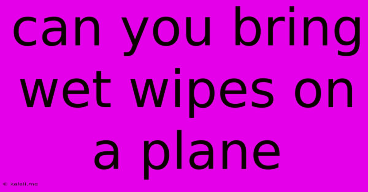 Can You Bring Wet Wipes On A Plane