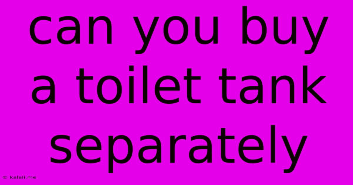 Can You Buy A Toilet Tank Separately