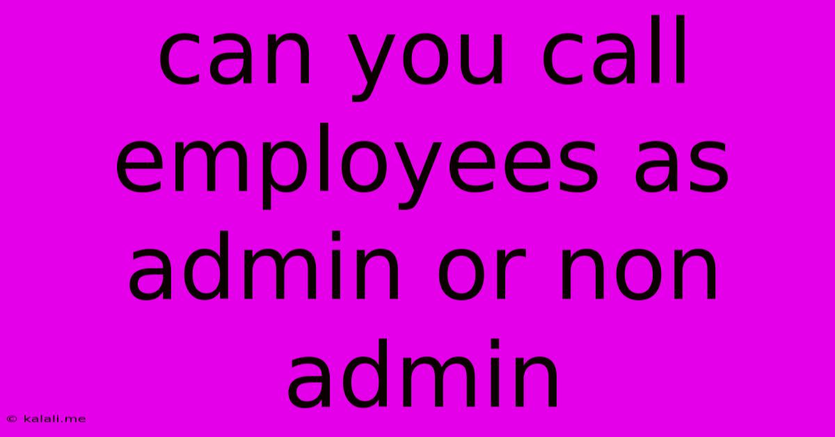 Can You Call Employees As Admin Or Non Admin