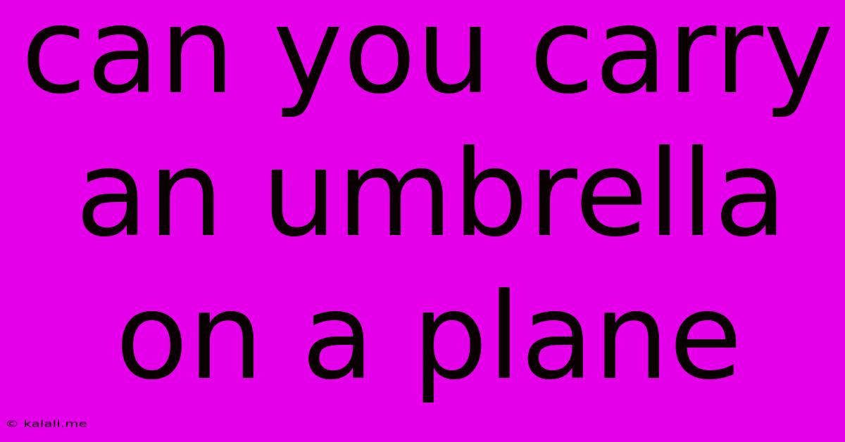 Can You Carry An Umbrella On A Plane