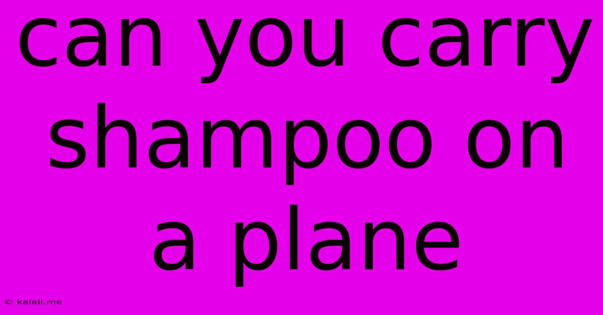 Can You Carry Shampoo On A Plane