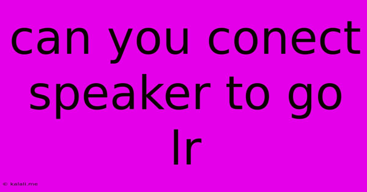 Can You Conect Speaker To Go Lr