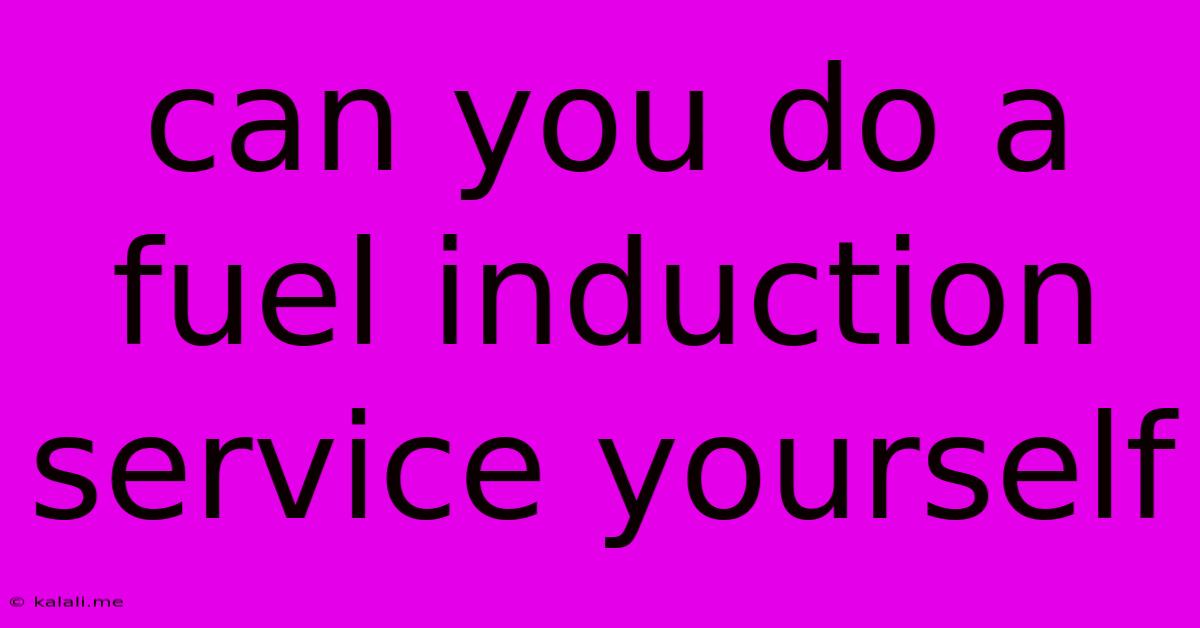 Can You Do A Fuel Induction Service Yourself