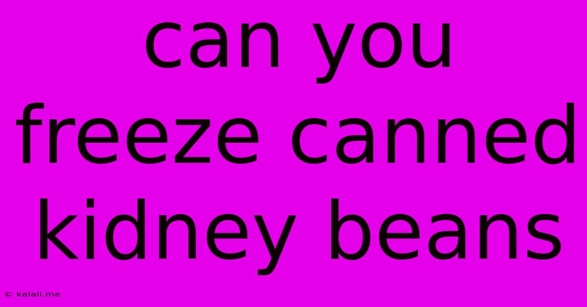 Can You Freeze Canned Kidney Beans