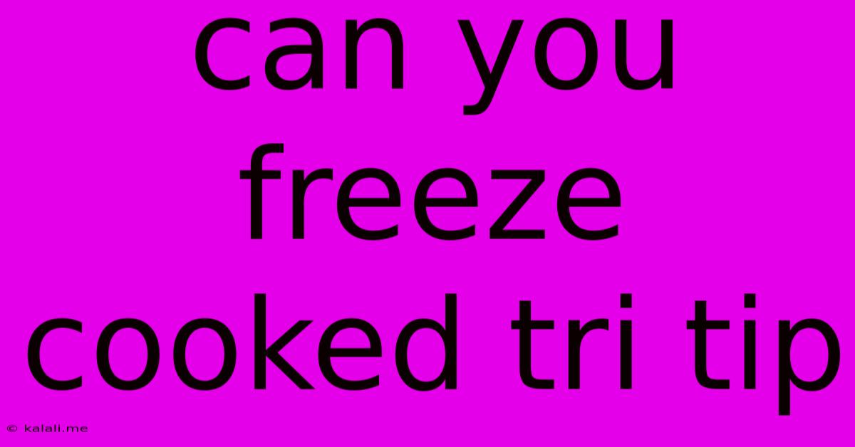 Can You Freeze Cooked Tri Tip