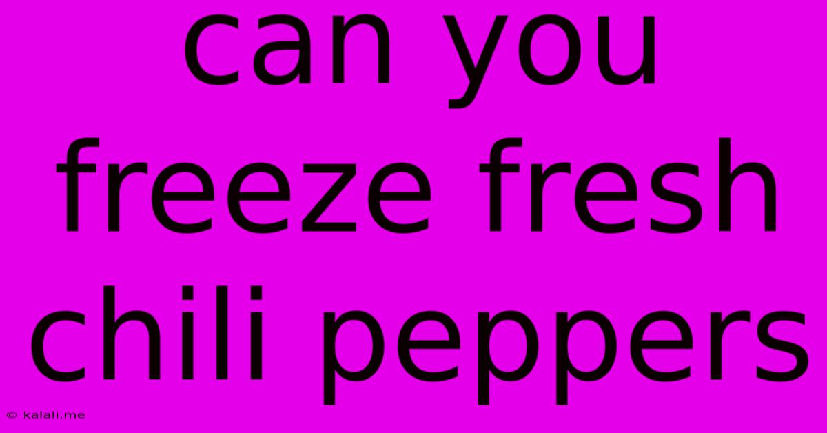 Can You Freeze Fresh Chili Peppers