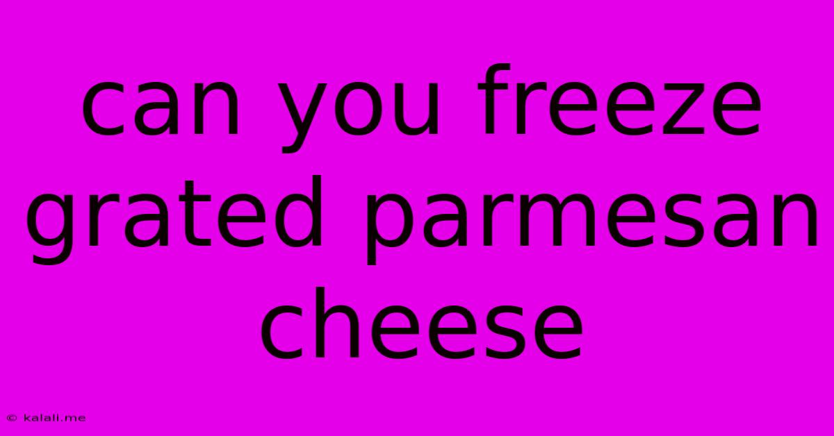 Can You Freeze Grated Parmesan Cheese