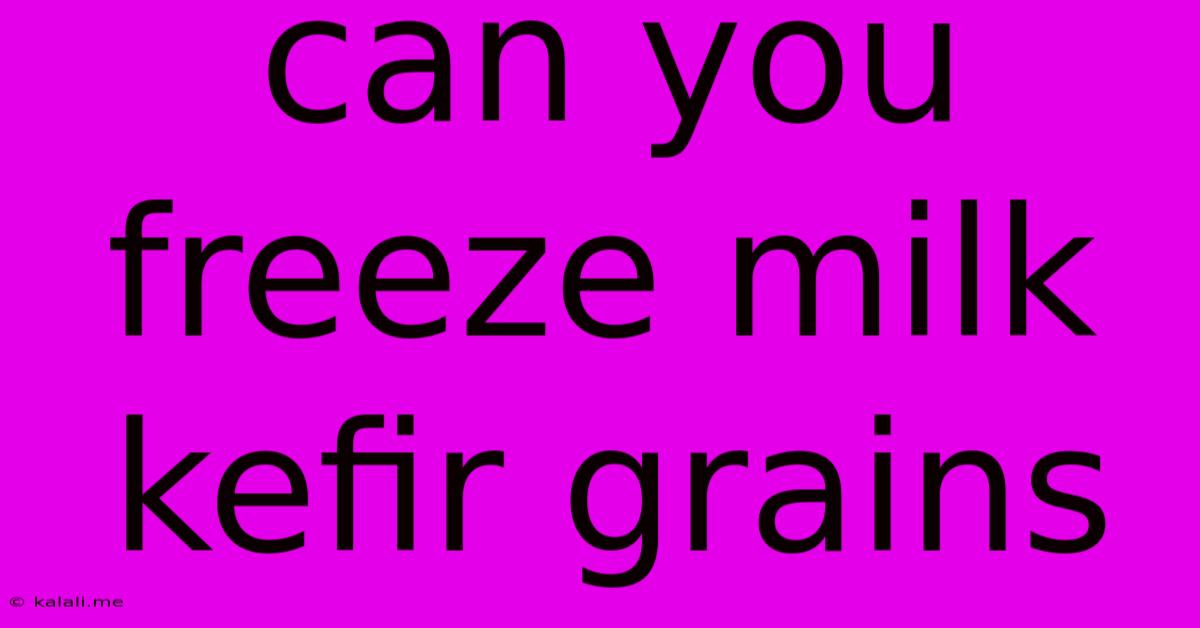 Can You Freeze Milk Kefir Grains