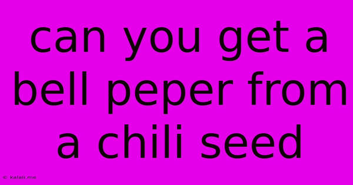 Can You Get A Bell Peper From A Chili Seed