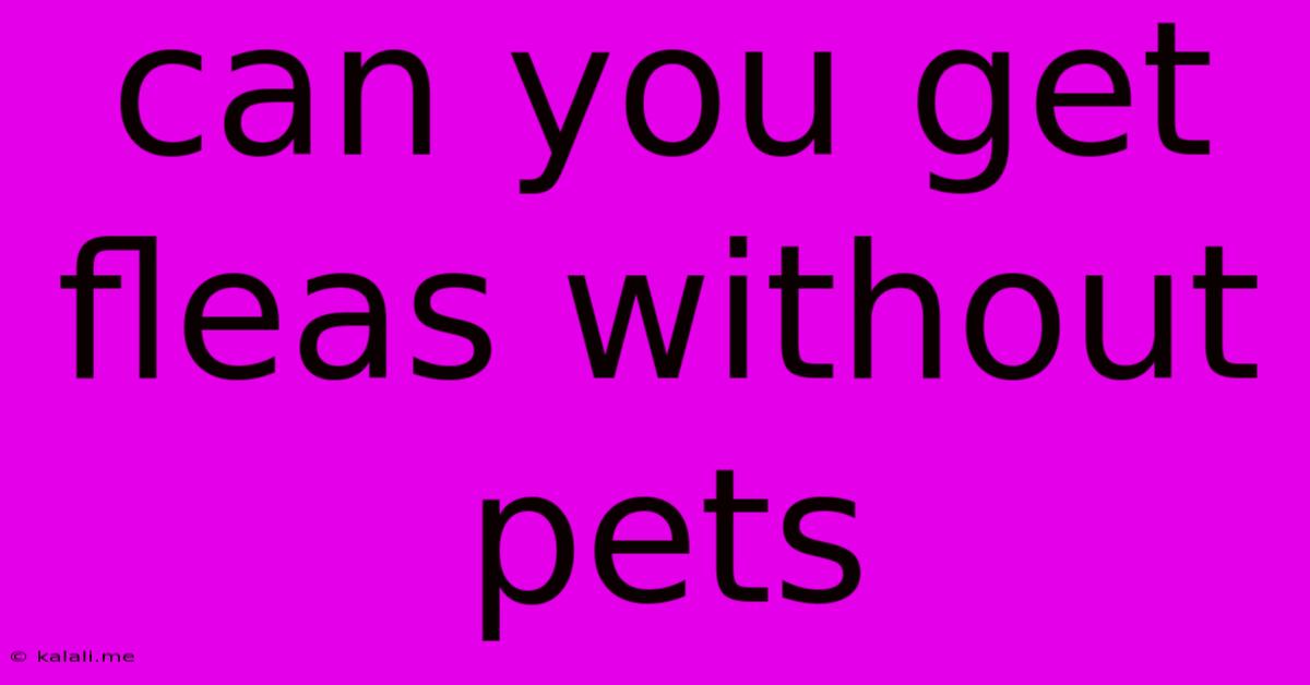 Can You Get Fleas Without Pets