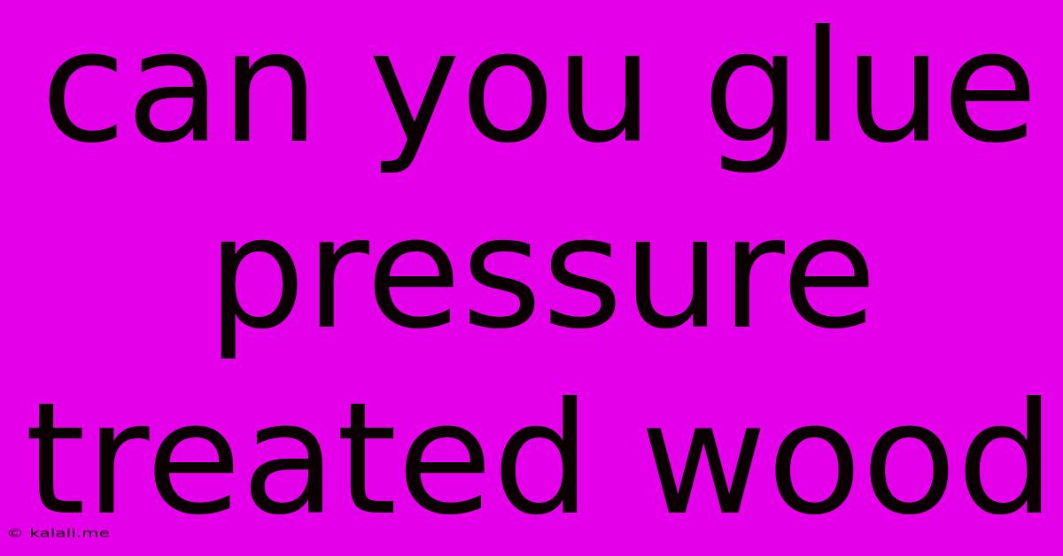 Can You Glue Pressure Treated Wood