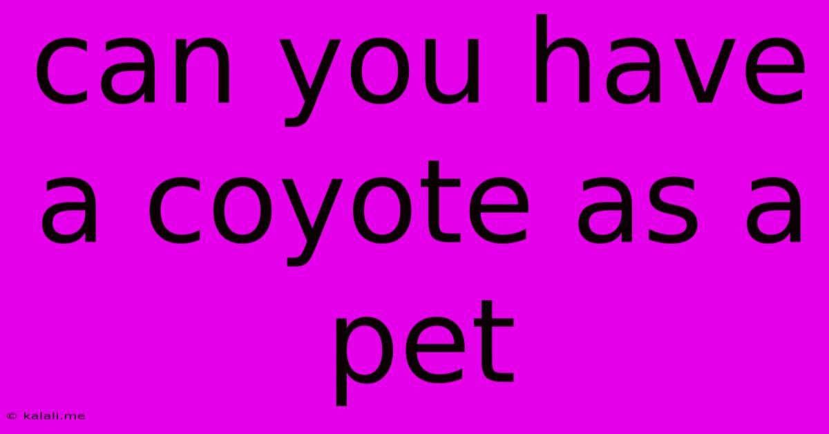 Can You Have A Coyote As A Pet