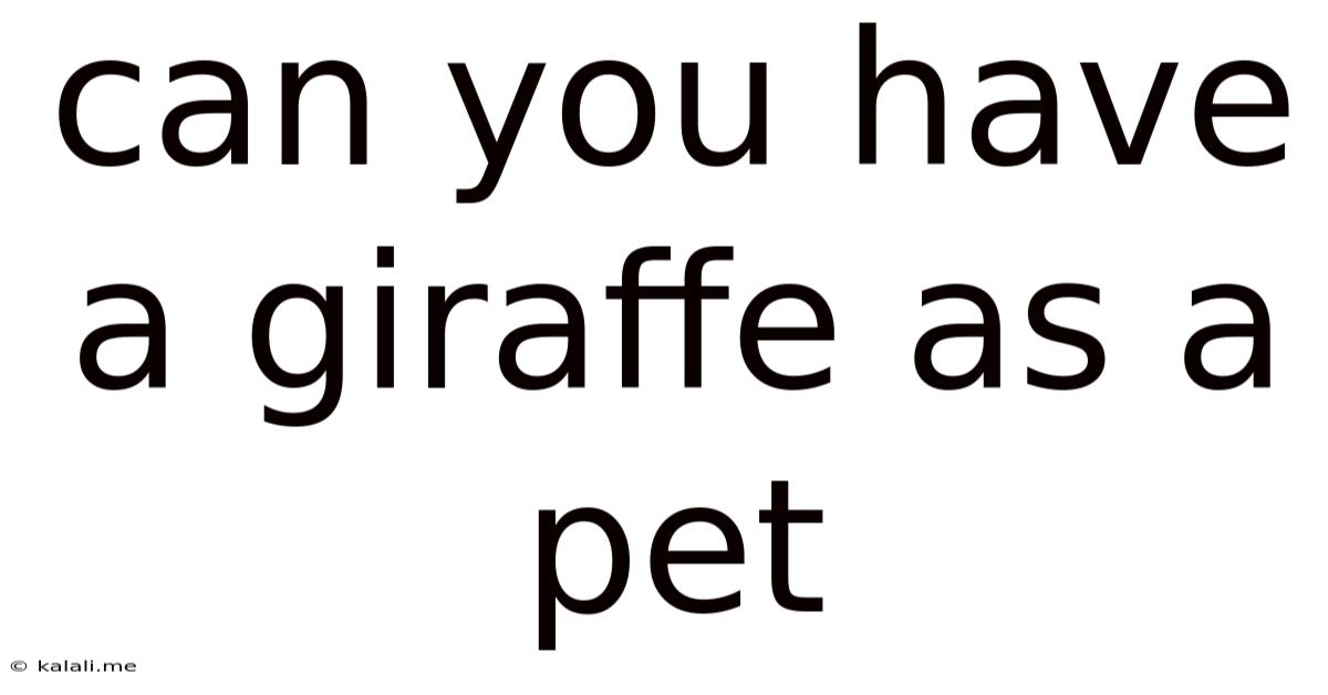 Can You Have A Giraffe As A Pet