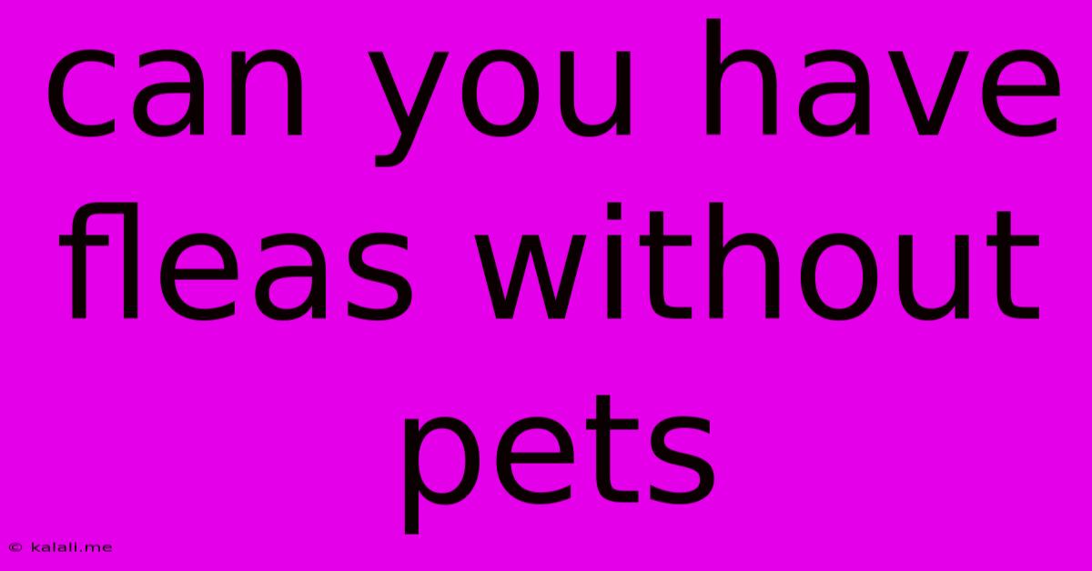 Can You Have Fleas Without Pets