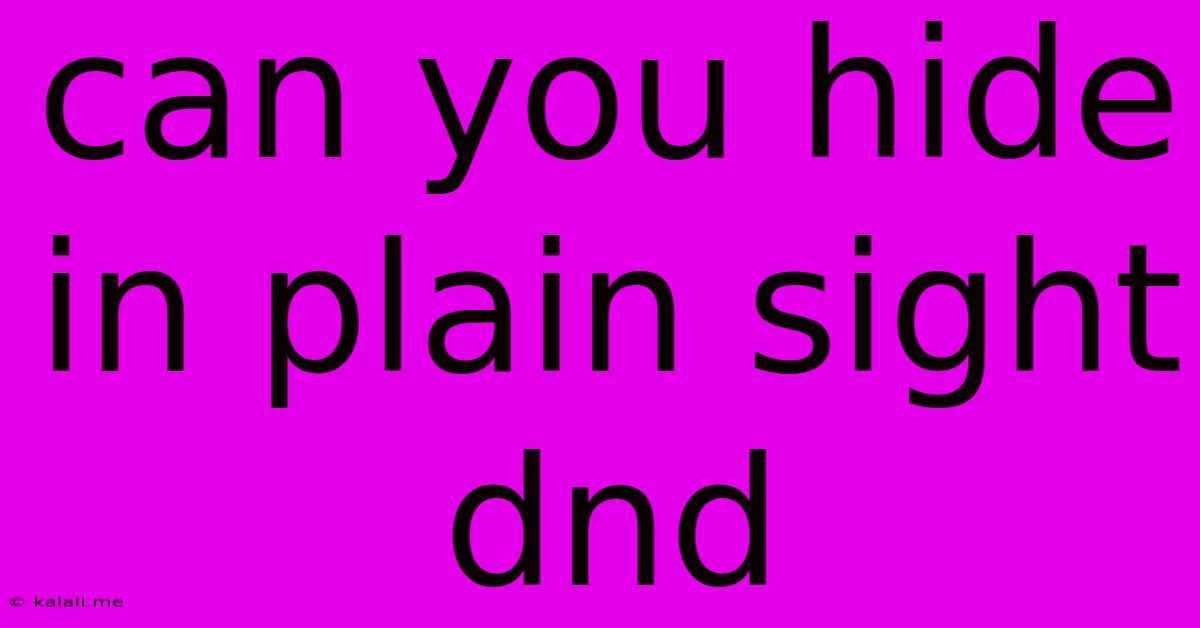 Can You Hide In Plain Sight Dnd
