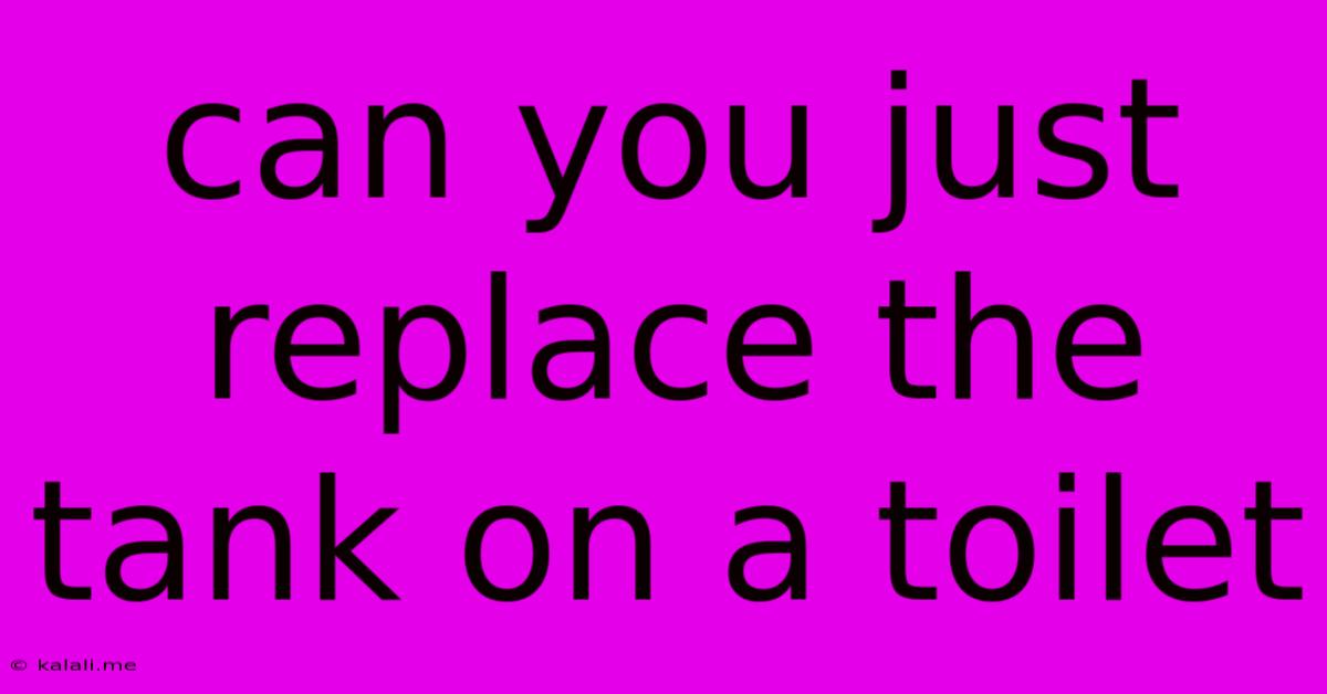 Can You Just Replace The Tank On A Toilet
