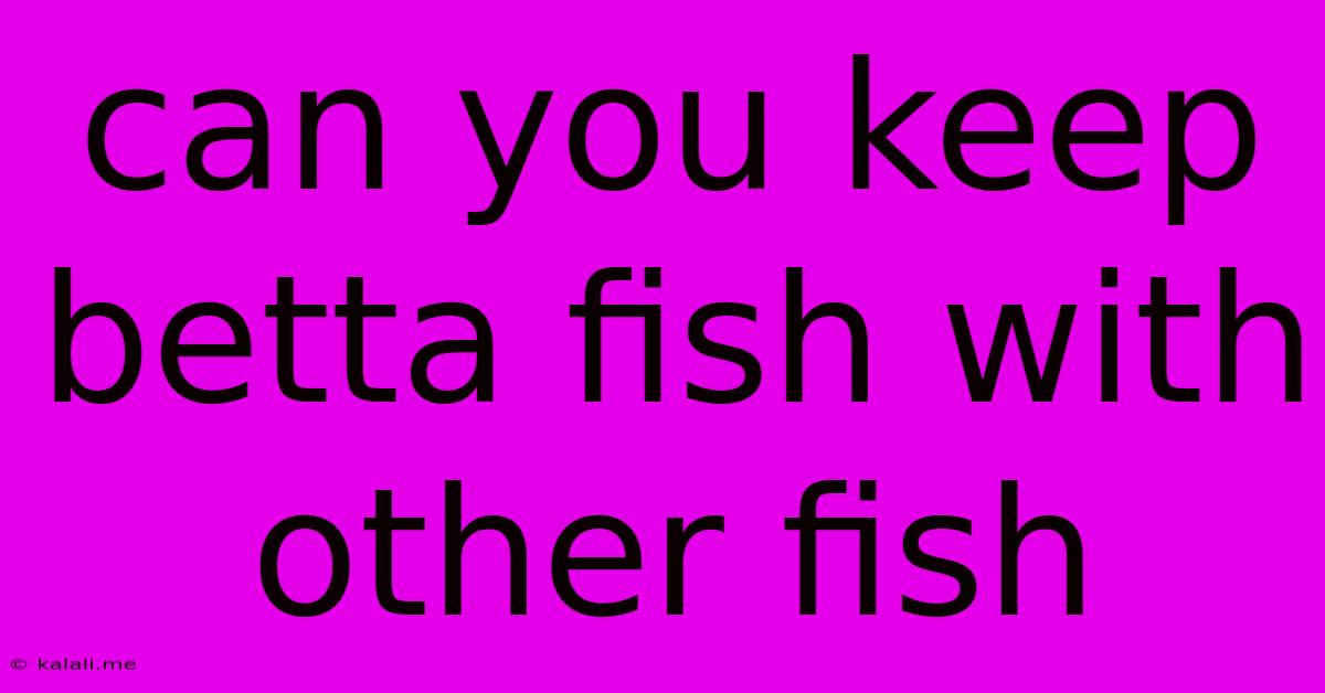 Can You Keep Betta Fish With Other Fish