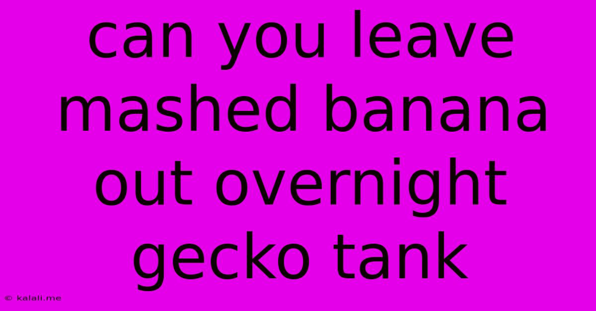 Can You Leave Mashed Banana Out Overnight Gecko Tank
