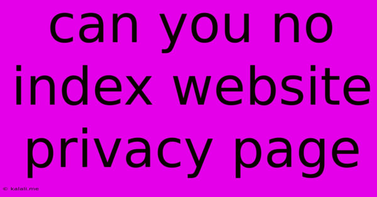 Can You No Index Website Privacy Page