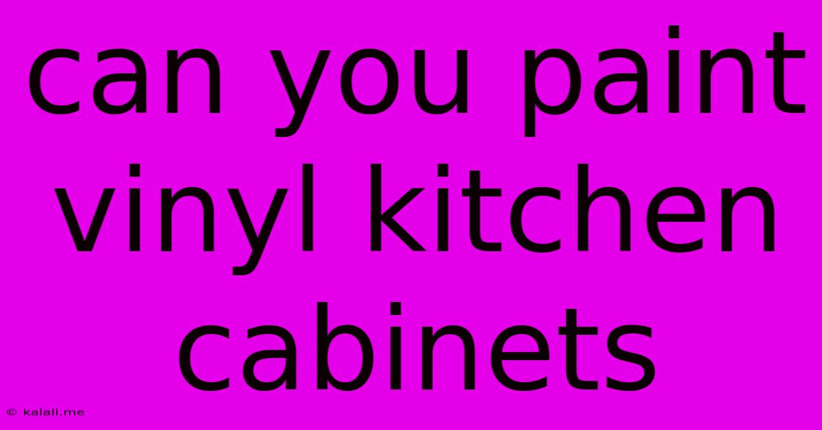 Can You Paint Vinyl Kitchen Cabinets