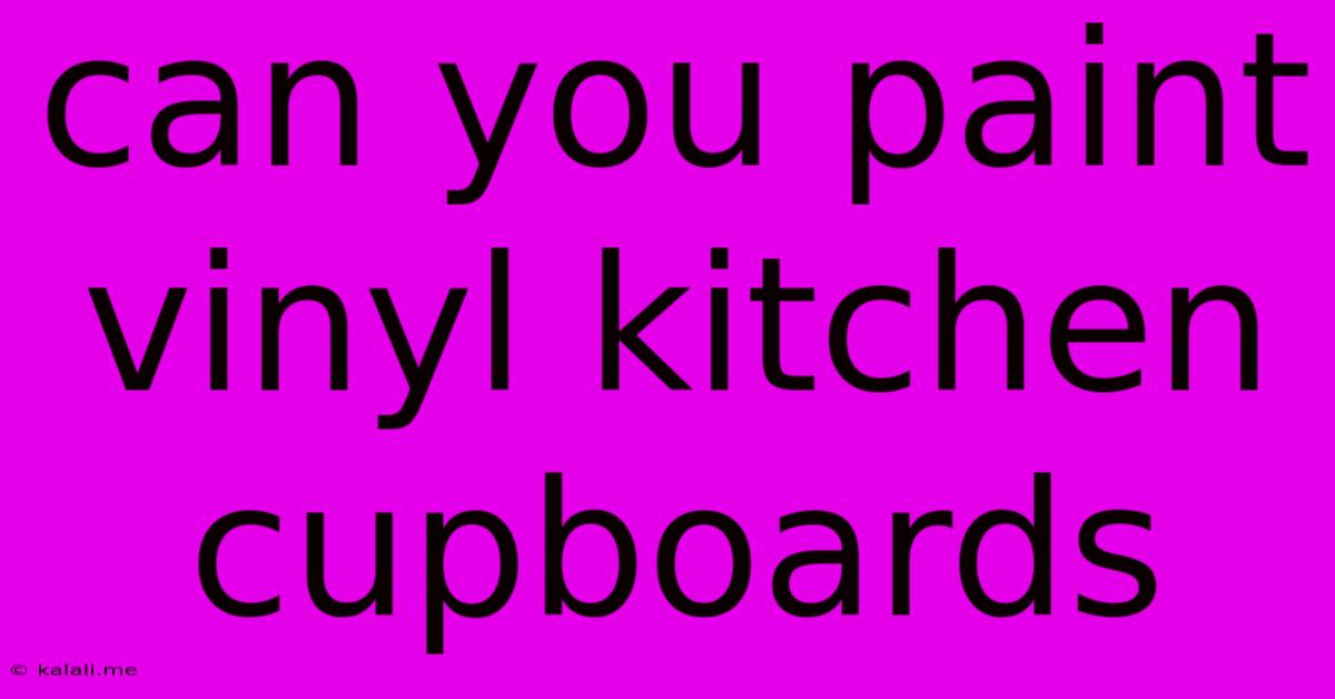Can You Paint Vinyl Kitchen Cupboards