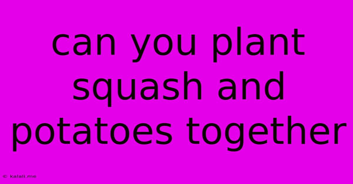 Can You Plant Squash And Potatoes Together